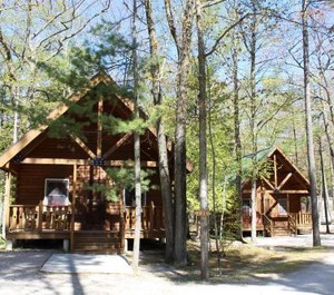 Tranquil Timbers 