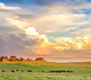 Zion Mountain Ranch 