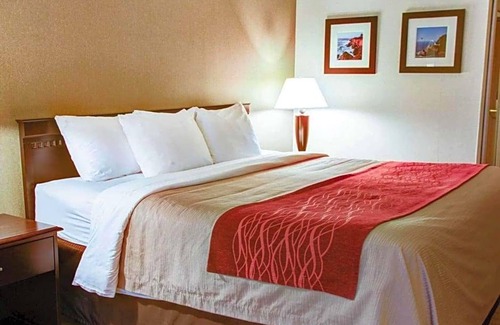 Florence Hotel | 2-Star Hotel ∙ Quality Inn Florence