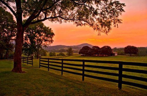 Hume Bed & Breakfast | 372 m² Bed and breakfast ∙ 5 bedrooms ∙ 14 guests