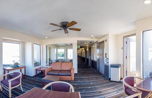 Cow Hollow House | 46 m² Motel ∙ 6 guests