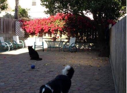 Outer Richmond Bed & Breakfast | 56 m² Bed and breakfast ∙ 2 bedrooms ∙ 6 guests