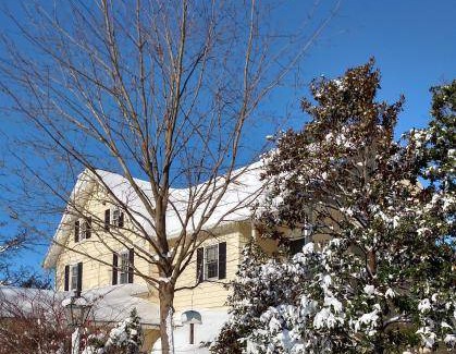 Willow Street Bed & Breakfast | 588 m² Bed and breakfast ∙ 5 guests