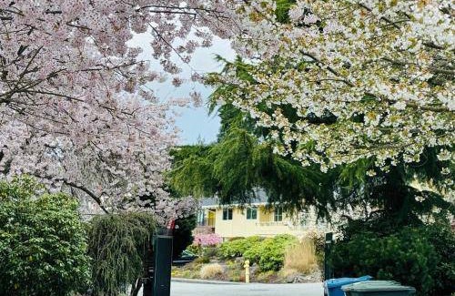 The Bowl of Edmonds Bed & Breakfast | 62 m² Bed and breakfast ∙ 127 guests
