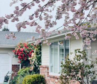 The Bowl of Edmonds Bed & Breakfast | 62 m² Bed and breakfast ∙ 127 guests