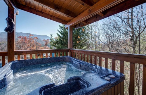 Black Bear Falls Cabin | 76 m² Cabin ∙ 2 bedrooms ∙ 6 guests