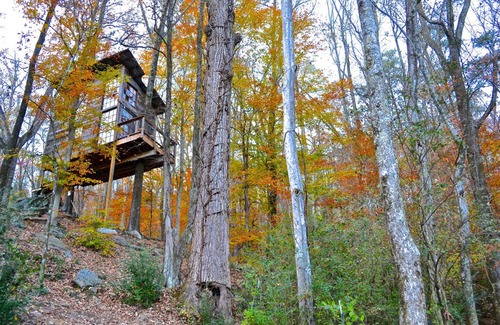 Flintstone Other | Camping ∙ 1 bedroom ∙ 4 guests