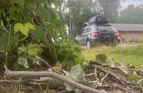 South Haven Other | Campout at Hostel SoHa