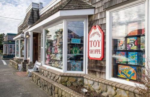 Tolovana Park House | Cannon beach vibes, steps to the beach,WIFI,3 full bedroom en suites with 3 fireplaces,Near Downtown