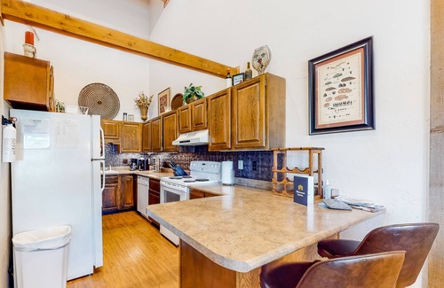 Pagosa Springs Condo | Dog-friendly condo with fireplace & entertainment - close to skiing, lakes