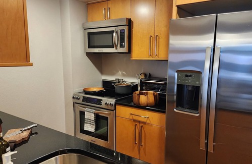LoDo Condo | Executive LoDo Condo in the Heart of the City
