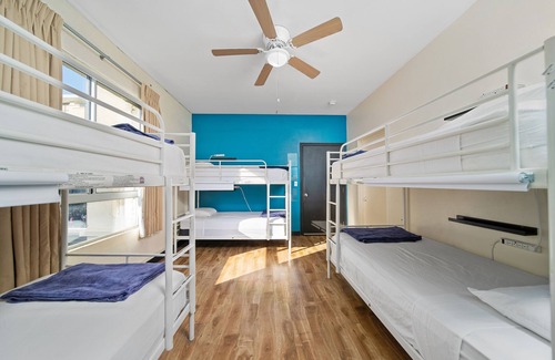 Hollywood Hostel | Samesun Hollywood - Hostel