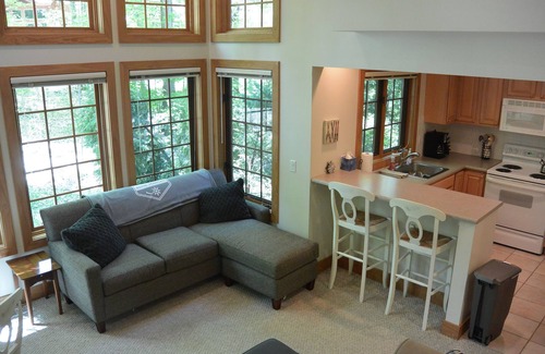 Boyne Falls Condo | Ski-in Disciples Ridge Condo at Boyne Mountain Resort