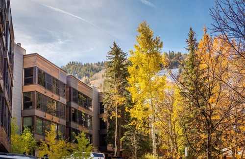 Aspen Condo | SKI -IN SKI-OUT TRAIL TO GONDOLA!1 BLK TO ASPEN CORE, NEW HEATED POOL/JACUZZI