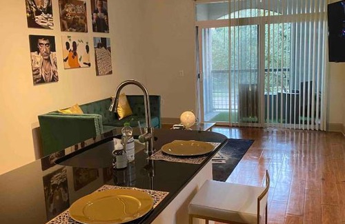 Texas Medical Center Apartment | The Money Hou$e