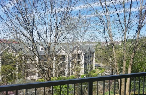 Branson Condo | Walk-In ~ Clean ~ 2 Kings ~ Indoor Pool ~ Hot Tub