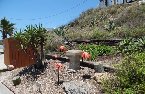 Port Aransas Cottage | 1/1 Cottage in the Dunes! PRIVATE POOL! Dog Friendly! Walk to Beach!
