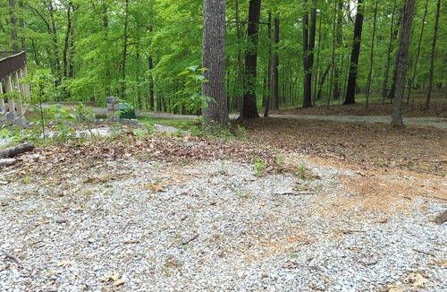Kingston House | 1-bdrm house with fireplace, AC and WiFi with 20 acres of trees scenic deck.