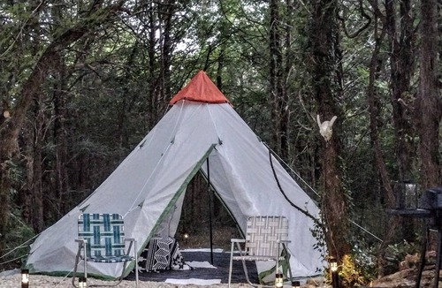 Lewisburg RV Rental | 18' Tent Wooded Primitive Site