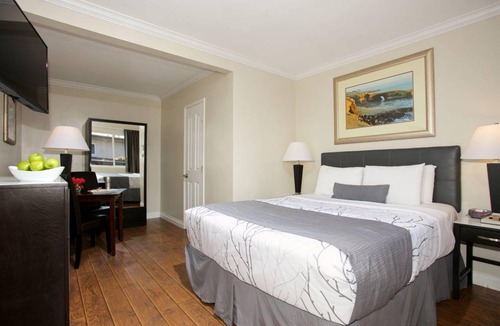 Ocean Beach Hotel | 20 m² Hotel ∙ 127 guests