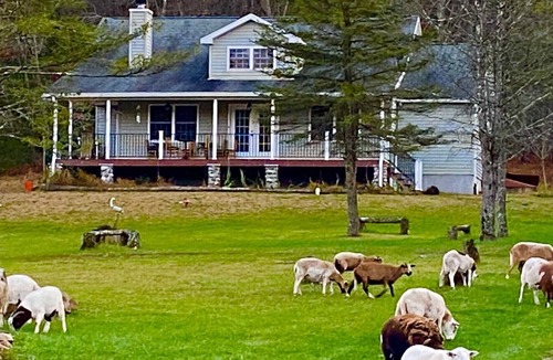 Lehighton Other | 22 ACRE FARMHOUSE WITH PARK LIKE SETTINGS