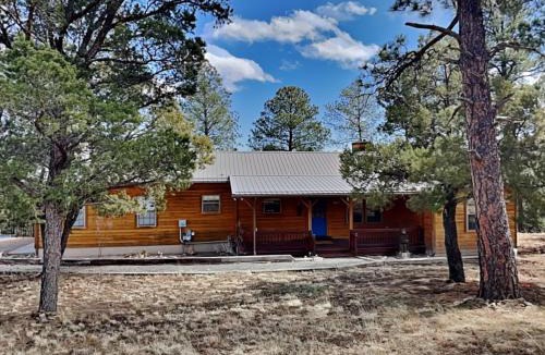 Alto House | 4 Bears 1 Cave