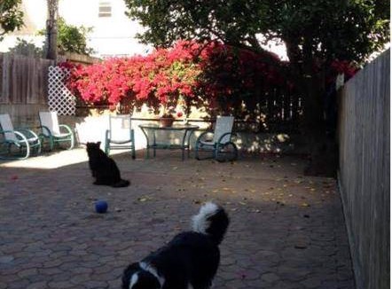 Outer Richmond Bed & Breakfast | 56 m² Bed and breakfast ∙ 2 bedrooms ∙ 6 guests