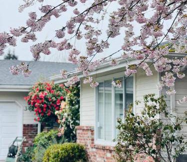 The Bowl of Edmonds Bed & Breakfast | 62 m² Bed and breakfast ∙ 127 guests