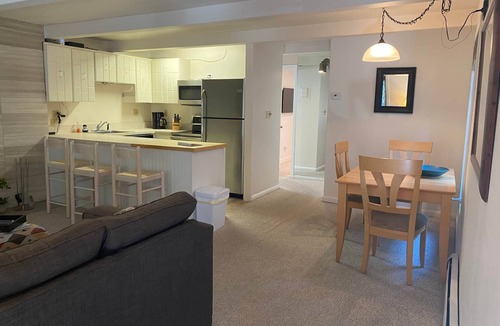 Aspen Apartment | Amazing setting - 2 blocks to Aspen Gondola, 1 BR, Amazing Core location - 1 BR