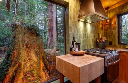 Westhaven-Moonstone Cottage | An Architects Studio- In a Secluded Forest