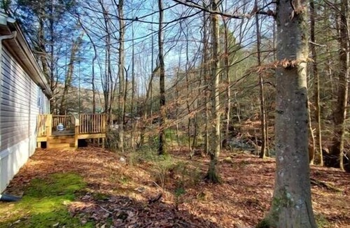Elgin House | Bald Knob Cottage Windrock trl 26,27,43 Brushy Mtn