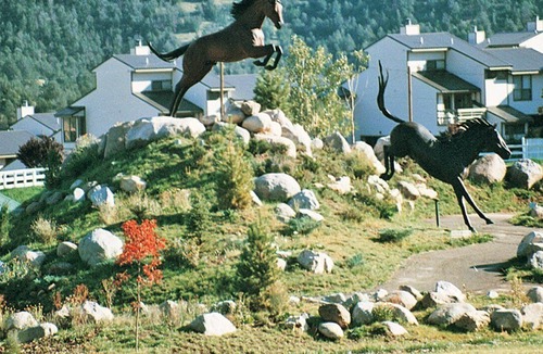 Ruidoso Downs Apartment | Beautiful 3 bedroom unit at resort, sleeps 8