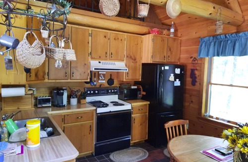 Brantingham House | Beautiful 3 bedroom adirondack log cabin