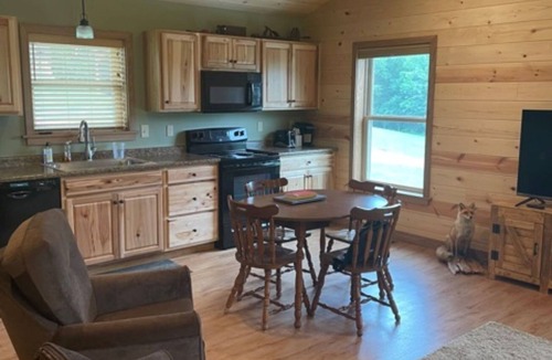 James Creek Cabin | Beautiful Cabin 1 Mile from the Boat Launch and Close to Many Others!