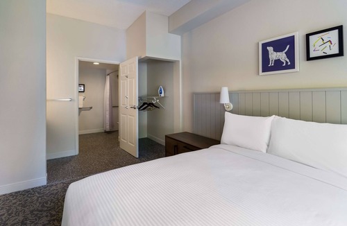 Acres Green Hotel | Best Value, Quality Stay! w/Pool, Near Saint Thomas More Park and Open Space!