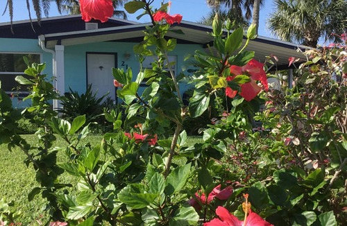Port Canaveral House | Blue Palm Beachside Cottage Heated Pool - Only Steps from Beach