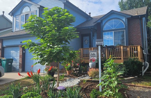 Walnut Grove Apartment | Bright and private basement studio with full laundry in rental.