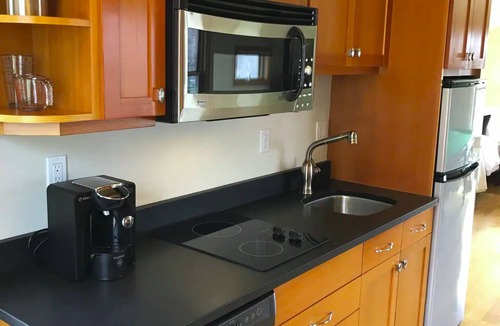 Central Boulder Apartment | Bright Open Studio 3 blocks to Pearl Street - A Sweet "Pool Suite" downtown.