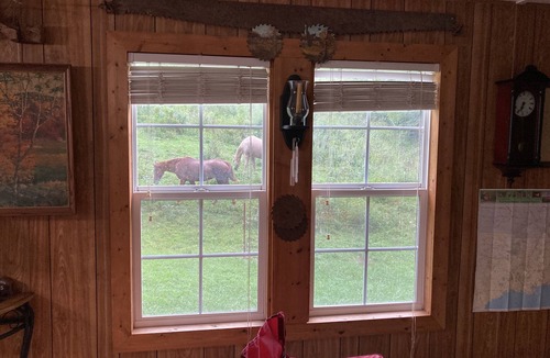 Cosby House | Bunkhouse at English Mountain-Unlimited creek access-Farm Views