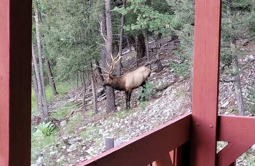 Cloudcroft Cabin | Cabana Escondido borders National Forest yet easy access.