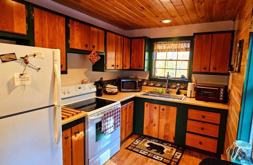 Beaver Cove Cabin | Cabin*ATV/Snowmobile Access*Fire pit*Wildlife