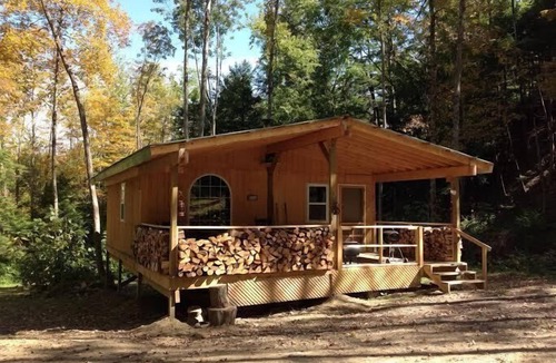 Swain Cabin | Cabin Creek Getaway by Letchworth State Park - Waterfalls & Woods!