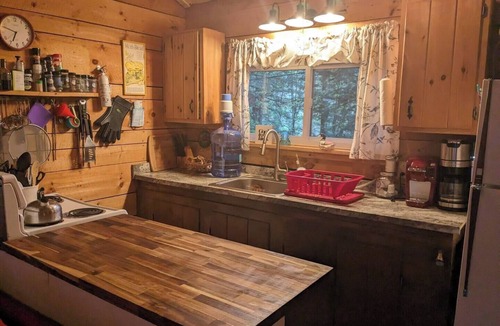 Brantingham Cabin | Charming 2-bedroom on Serene Lake Cabin in Greig