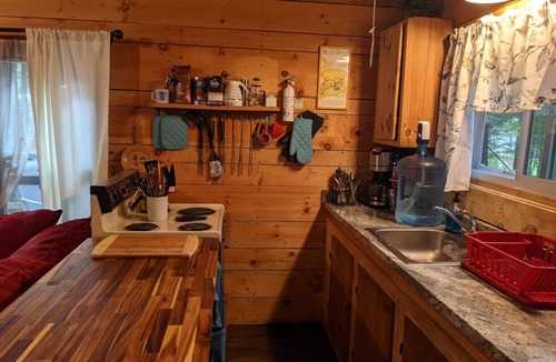 Brantingham Cabin | Charming 2-bedroom on Serene Lake Cabin in Greig