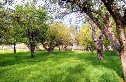Tropic House | Charming Tropic Home by a Farm Near Bryce Canyon!