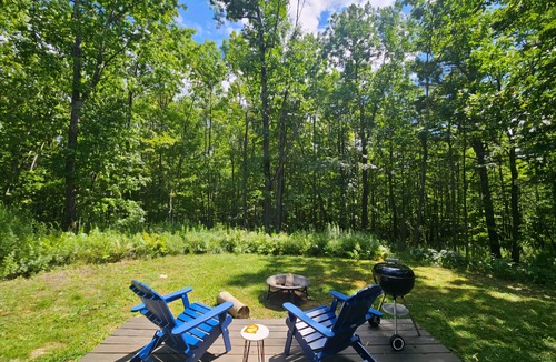 Keene Cabin | Cozy A-frame cabin surrounded by trees in Keene