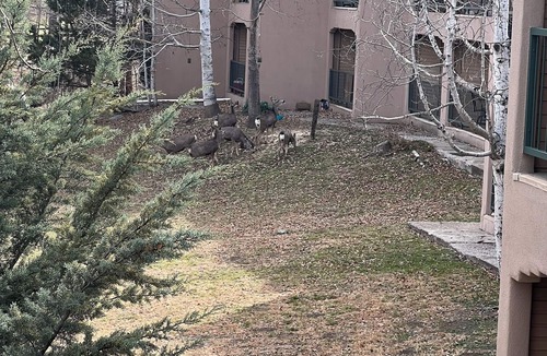 Ruidoso Condo | Cozy Condo in Ruidoso ideal for Outdoor Enthusiasts!