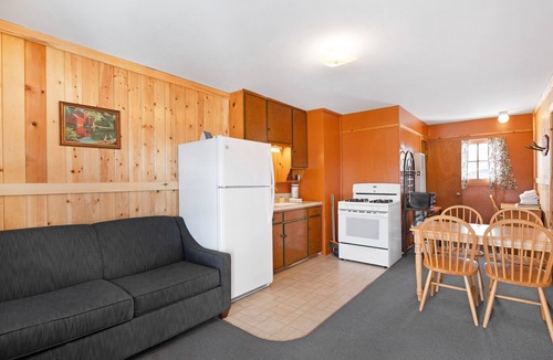 South Fork Cabin | Cozy dog-friendly lodge with kitchen, entertainment, ski access & shared grill