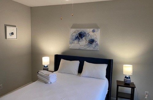 Texas Medical Center Apartment | Cozy Home in Downtown Houston