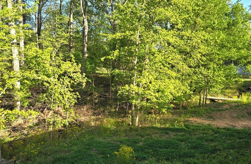 Cadiz House | Cozy lake house w/spacious deck, BBQ/fire pit. Boat ramp1 mi away Pet friendly!